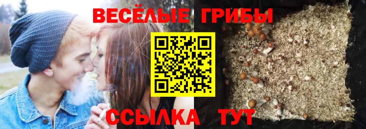 Псилоцибиновые грибы Cubensis Еманжелинск